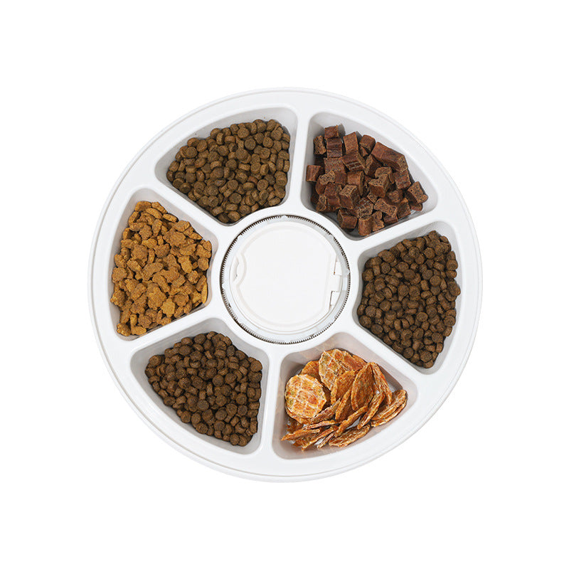 Six-Compartment Automatic Timed Cat Feeder Bowl with Programmable Meal Schedule