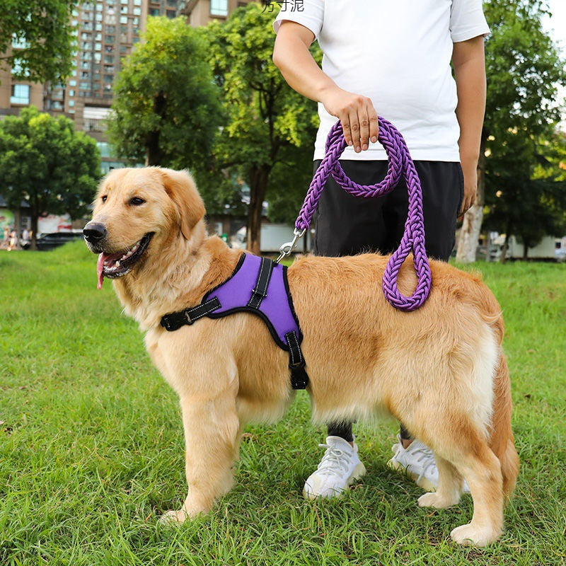 Nylon dog harness with thick eight strand rope lead in red