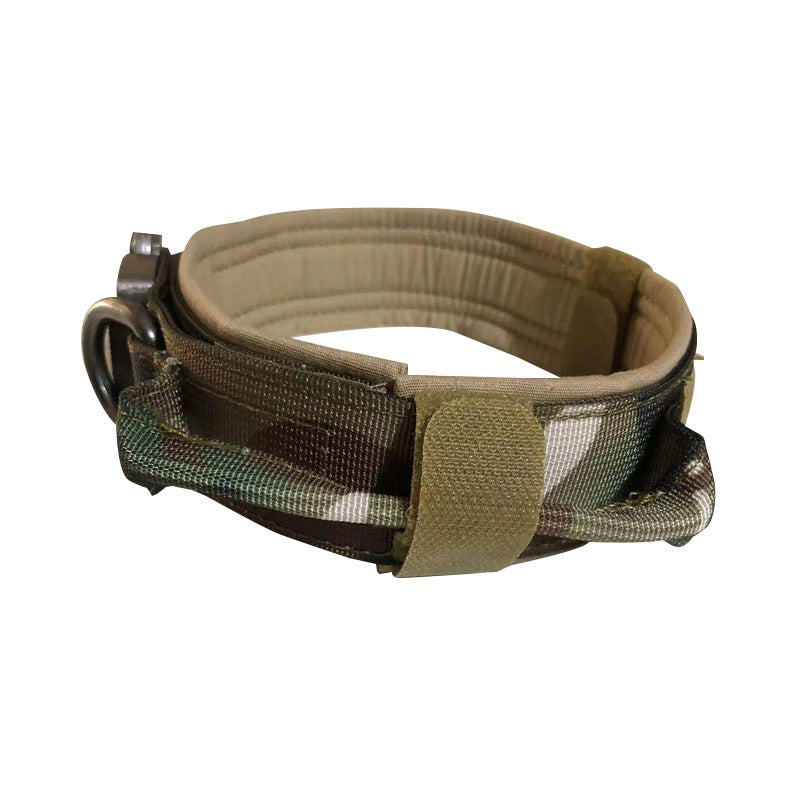 Tactical nylon dog collar with cobra buckle in 4 colour options