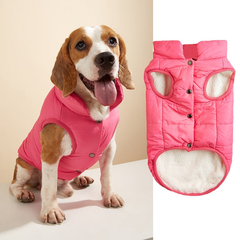 Small dog wearing a bright padded sleeveless gilet