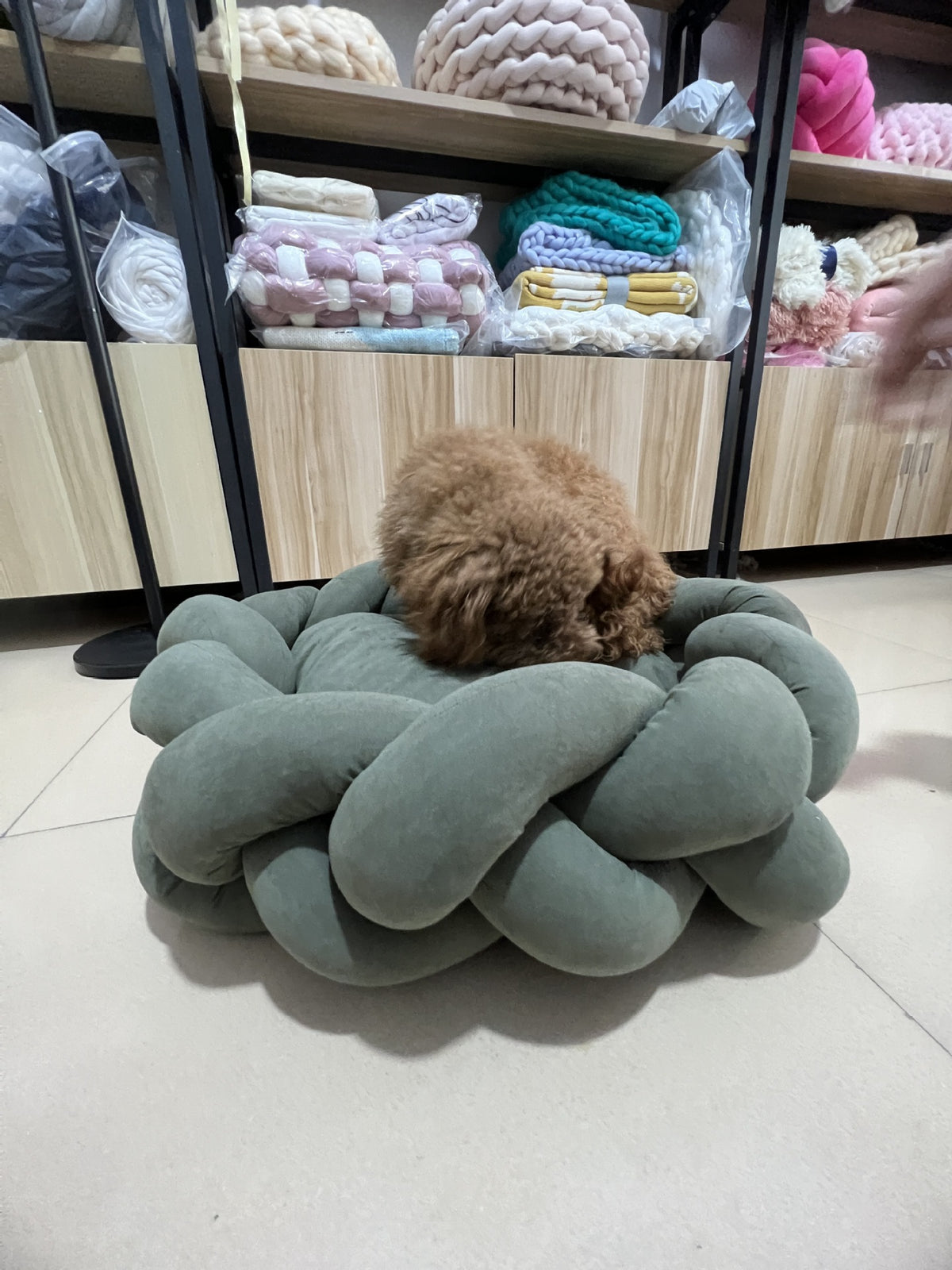 Cat sitting in a dark green hand-woven pet nest