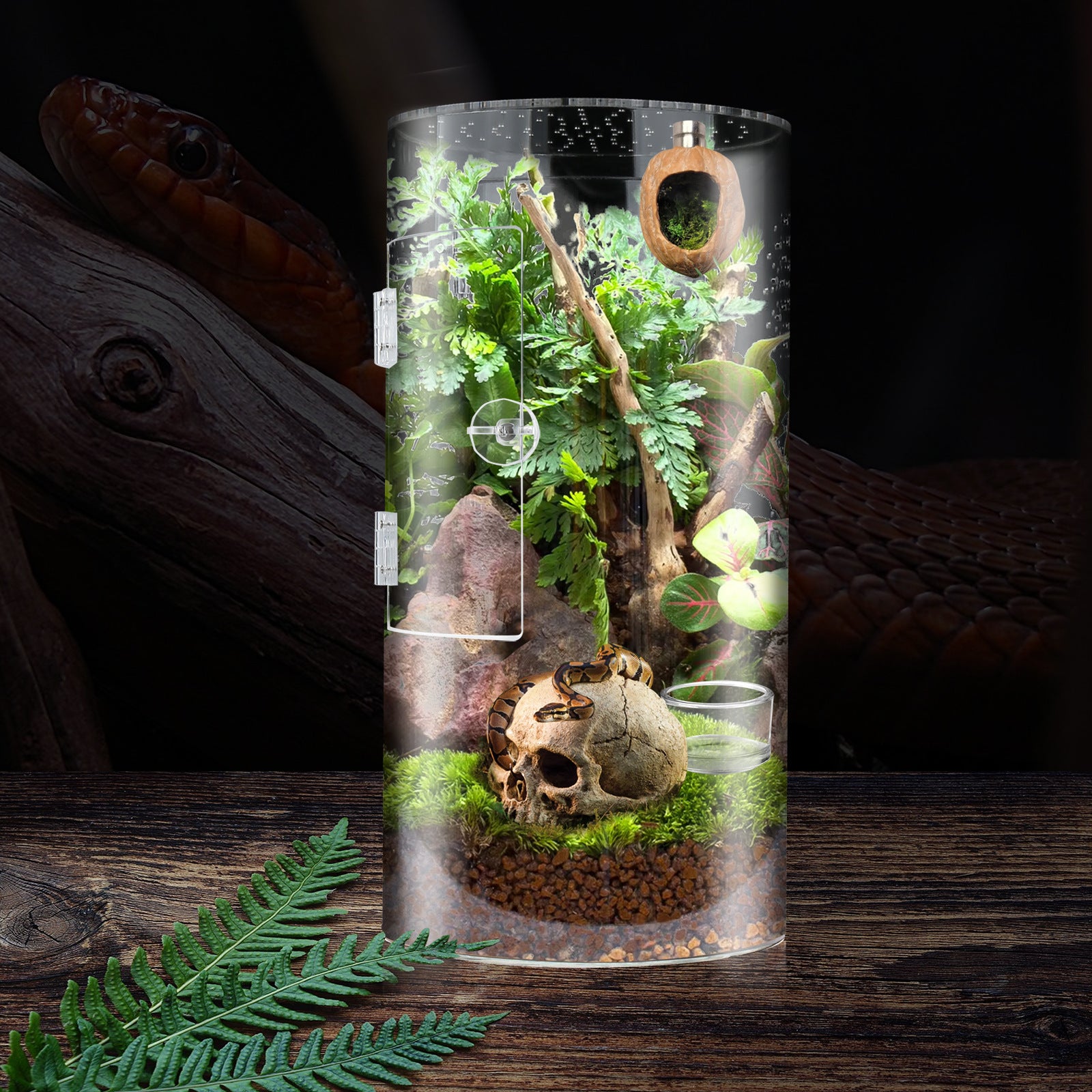 Clear acrylic cylinder enclosure with front door for small reptiles, view 1