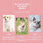 Pet Collar