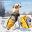 Padded dog gilets in elegant grey, black and red coffee