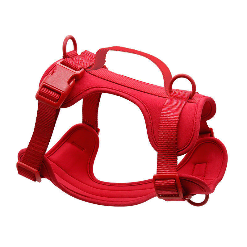 PVC dog harness lead and collar set in bright colours, available from Pet Royale UK