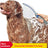Pet Bath Brush with Hose for Washing and Massaging