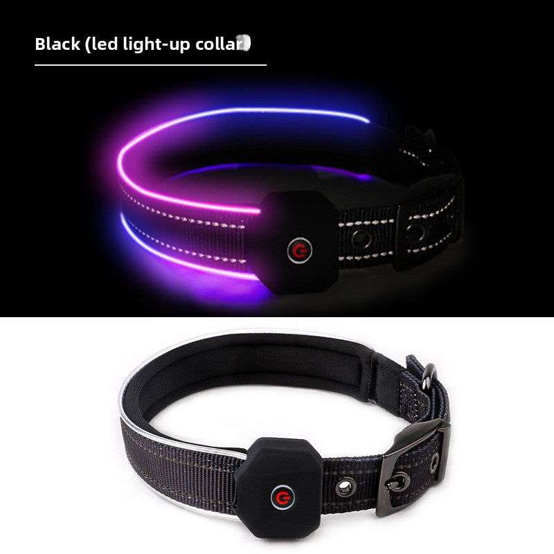 Rechargeable LED dog collar with reflective strip glowing, product image 21