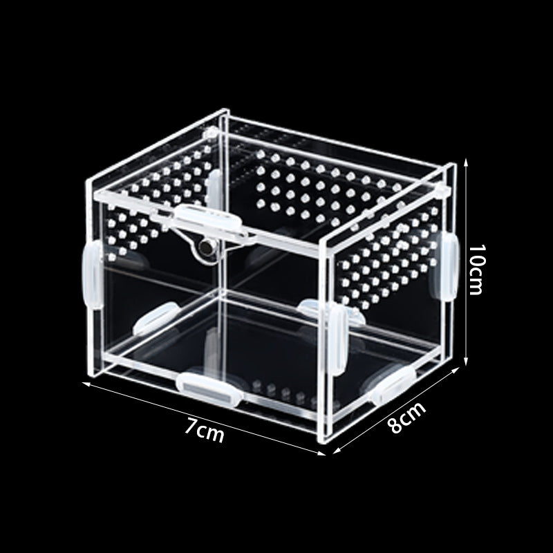 Clear acrylic reptile habitat box, further angle view