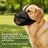 Black breathable nylon mesh dog muzzle with adjustable strap, product image 1