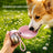 304 Stainless Steel Pet Water Bottle
