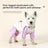 Hooded four leg dog raincoat, available in 19 styles, sizes Small to 2XL, image 66