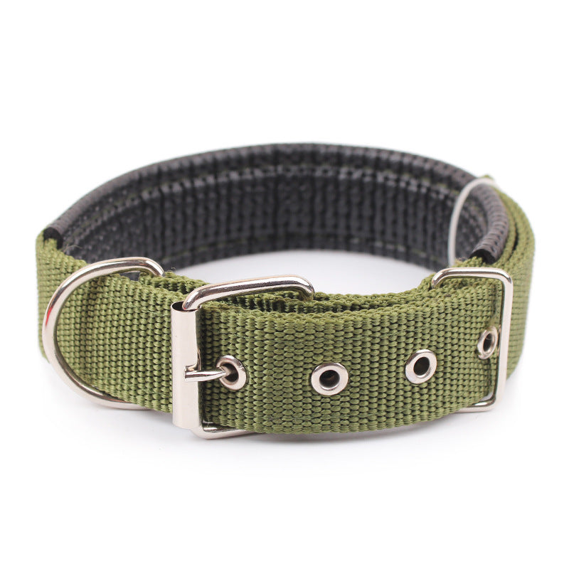 Foam padded adjustable dog collar, ideal for everyday use