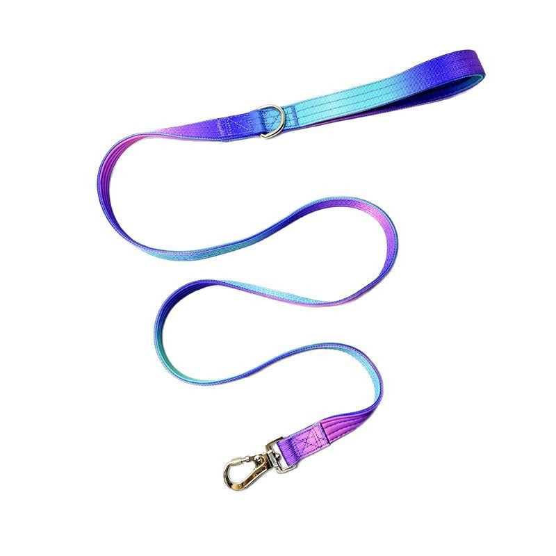 Gradient dog collar and lead, available from Pet Royale UK