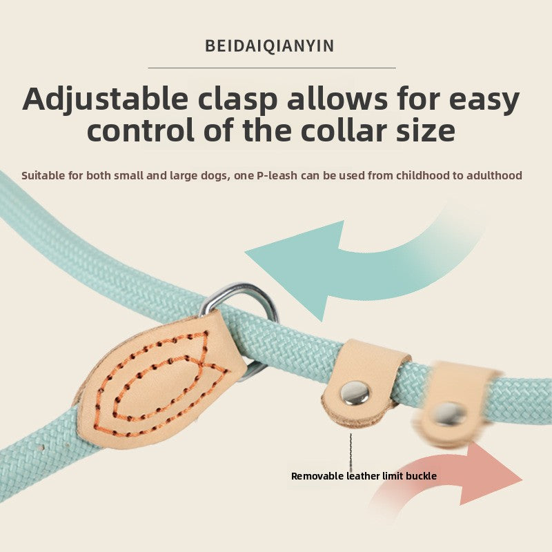 Heavy-duty braided slip dog lead, ideal for everyday use
