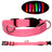 LED light up dog collar glowing green at night