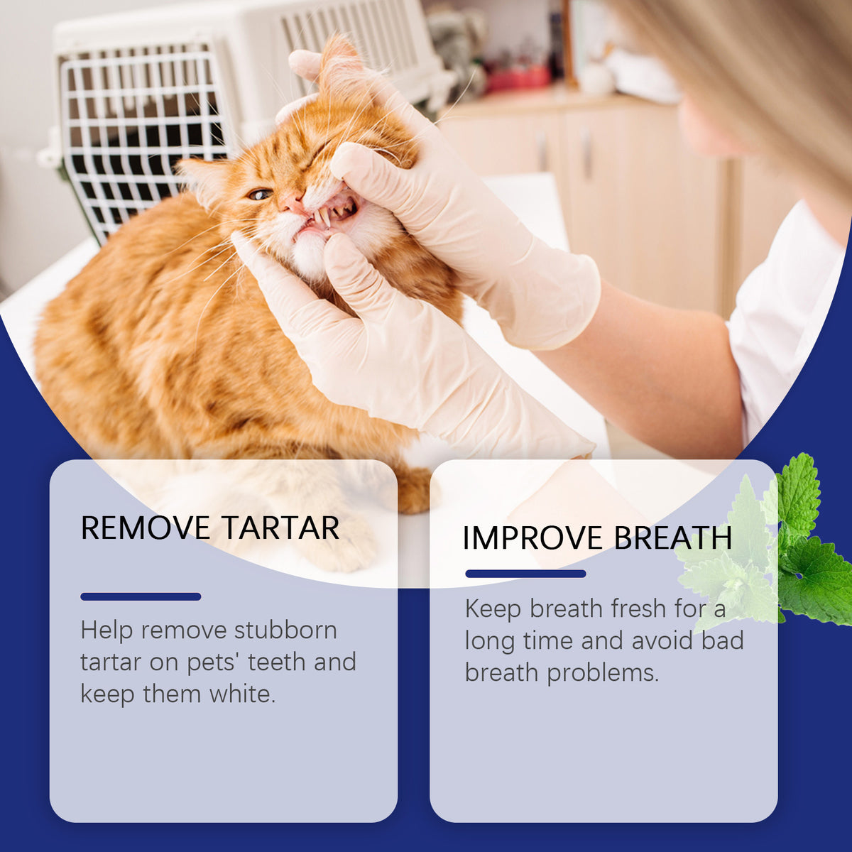 Pet Dental Powder for Teeth Stains and Fresh Breath, Daily Care