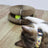 Magic Organ Cat Scratch Board with Bell, Interactive Kitten Toy