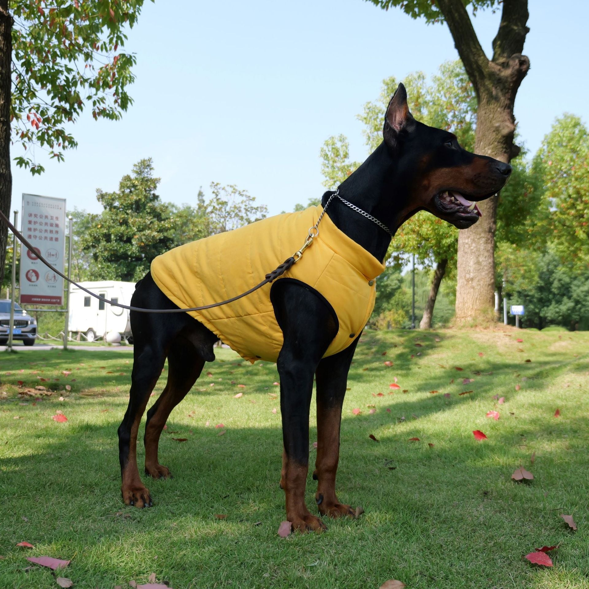 Waterproof fleece lined dog vest with snap buttons, product image 2