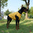 Waterproof fleece lined dog vest with snap buttons, product image 2