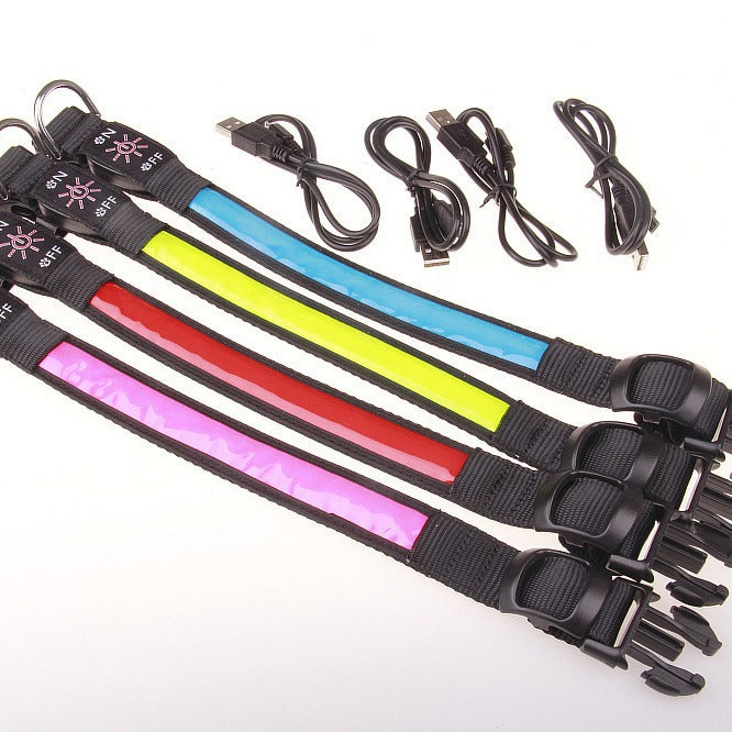 USB rechargeable LED dog collar glowing red at night