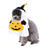 Small dog dressed in a pumpkin ghost Halloween costume