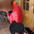 Green automatic retractable dog lead, ideal for everyday use