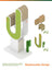 Cactus cat tree replacement set in corrugated paper, close-up detail view