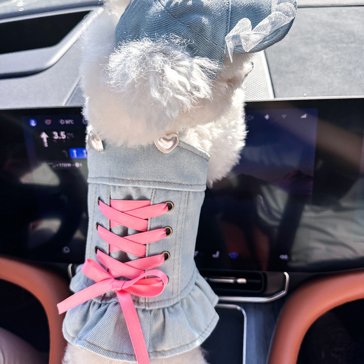 Cute denim skirt for small dogs and cats, available in 13 styles, image 4