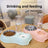 Stainless Steel Pet Food and Water Bowl