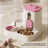 Large Capacity Pet Feeder and Water Dispenser with Anti-Blockage and Detachable Design