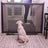 Portable mesh pet barrier net for doorways, alternative angle view