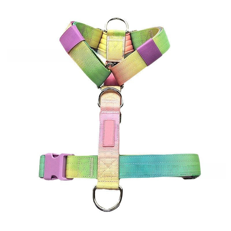 Small dog harness and lead set in bright gradient colours