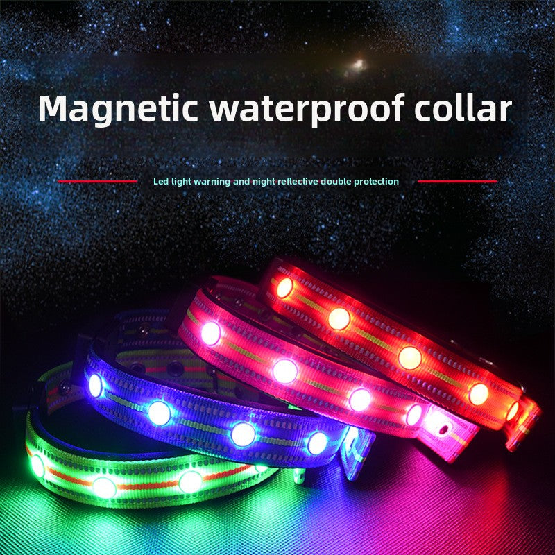 Blue fibre optic LED dog collar glowing on a night walk