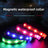 Blue fibre optic LED dog collar glowing on a night walk