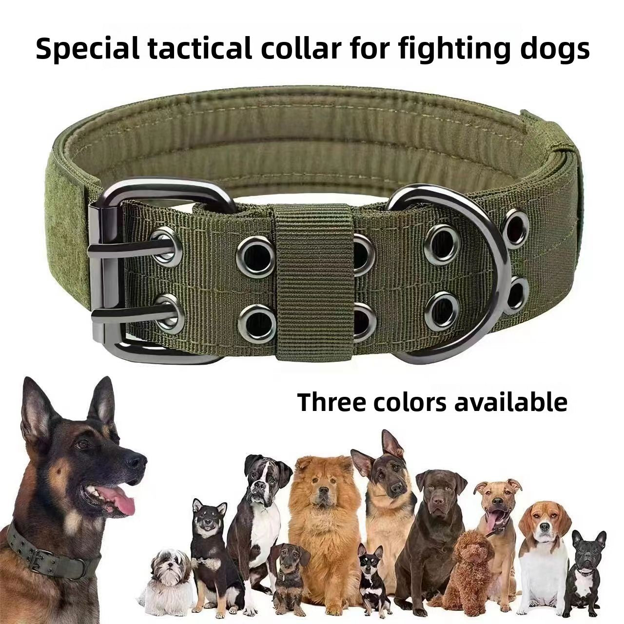 Heavy-duty nylon collar for large dogs, main product photo