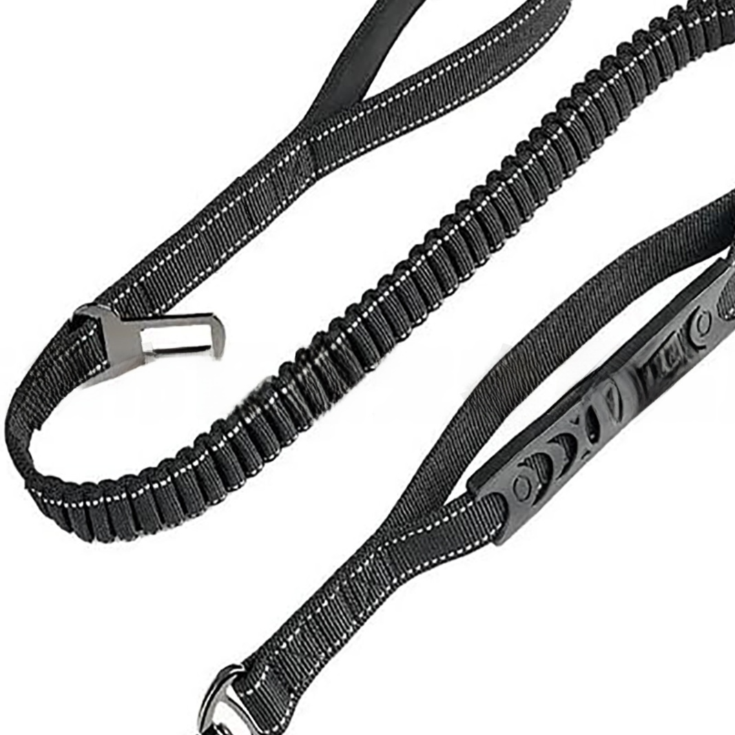 Elastic bungee dog lead, close-up detail view from Pet Royale UK
