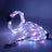 USB rechargeable LED dog collar and lead in Yellow Collar, front view