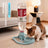 Gravity-Fed Pet Water Dispenser for Standard Water Bottles, No Electricity Needed