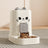 Detachable Split-Type Cat Feeder and Water Bowl Set with Measure Markings