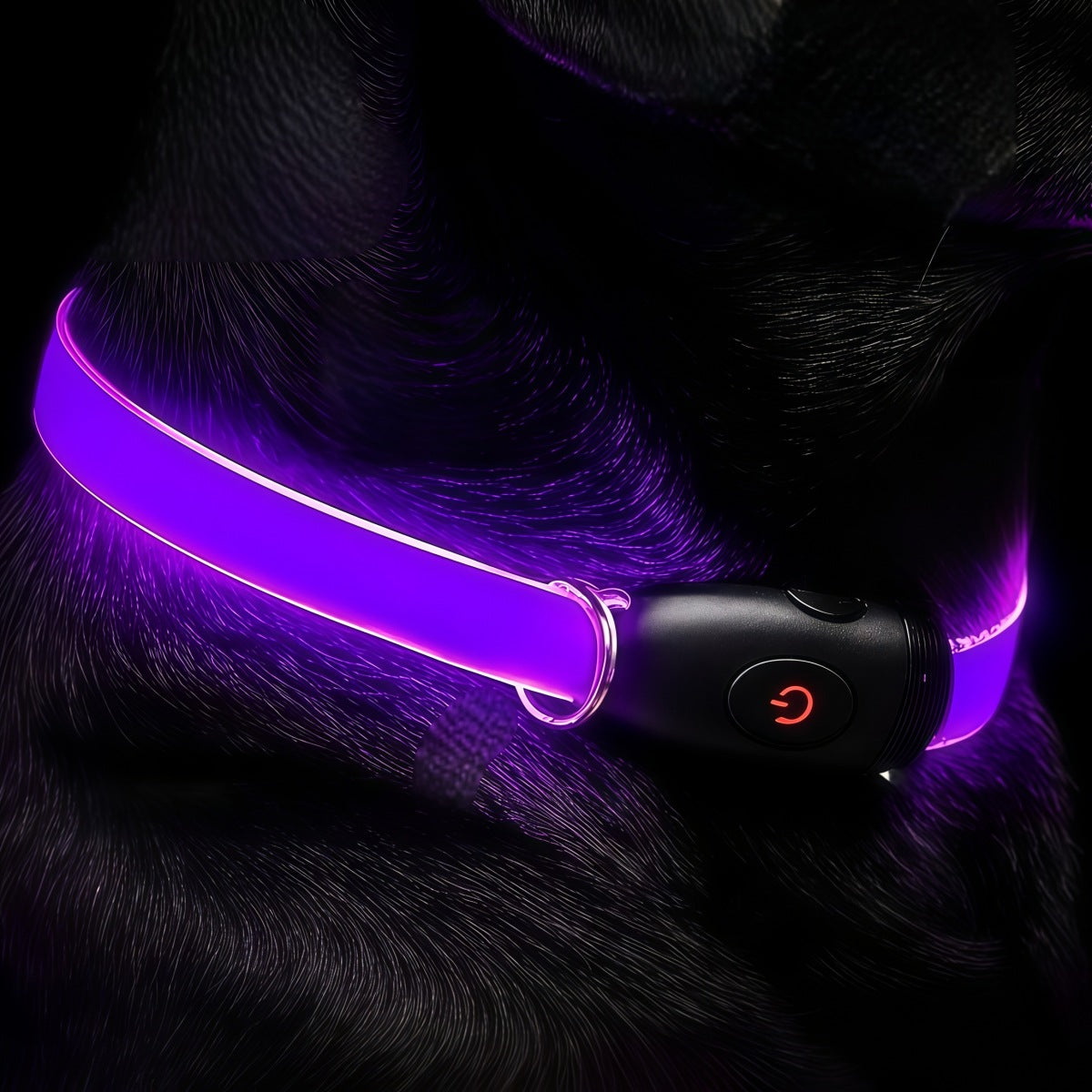 LED light up dog collar with reflective strip for night, view 2