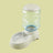 Pet Feeder and Water Dispenser