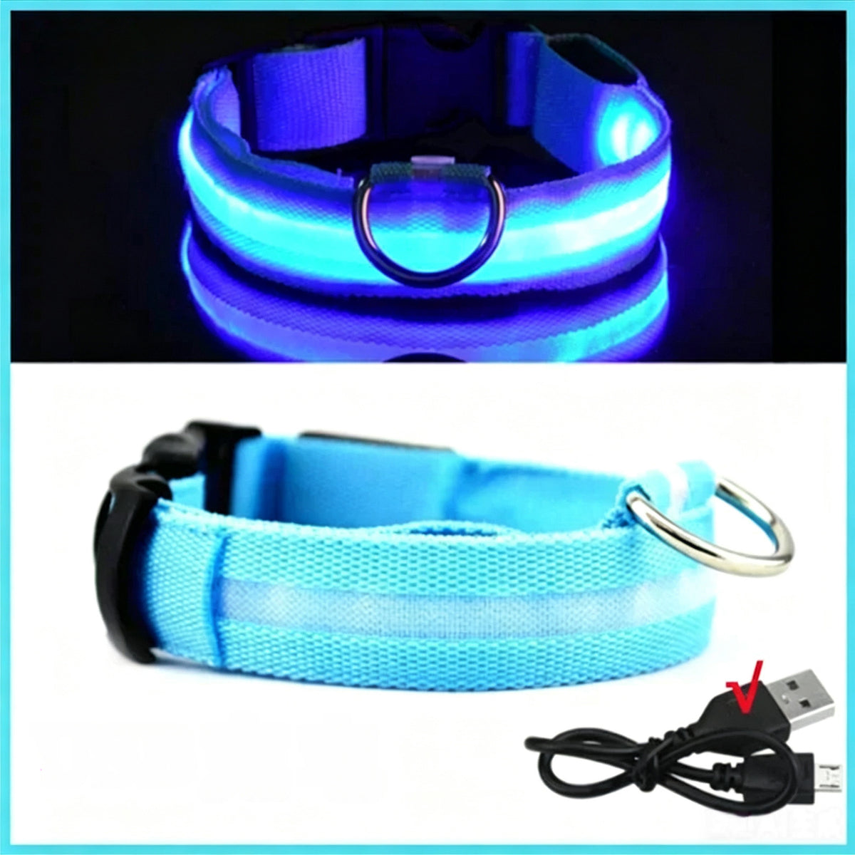 Reflective LED dog collar with USB charging in Red, showing size and shape
