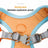 Reflective vest harness with flat lead, ideal for everyday use