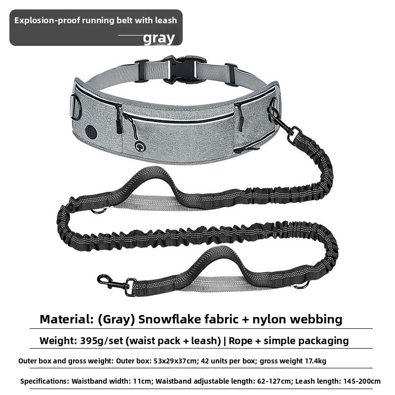 Hands-free reflective dog lead with waist bag, product photo
