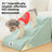 Foam dog stairs with removable cover in sky blue