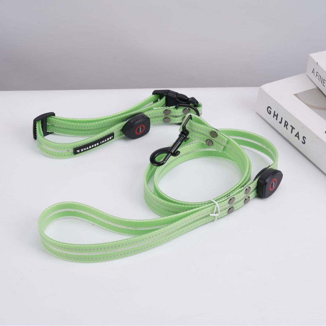 USB rechargeable LED dog collar in PVC, close-up detail