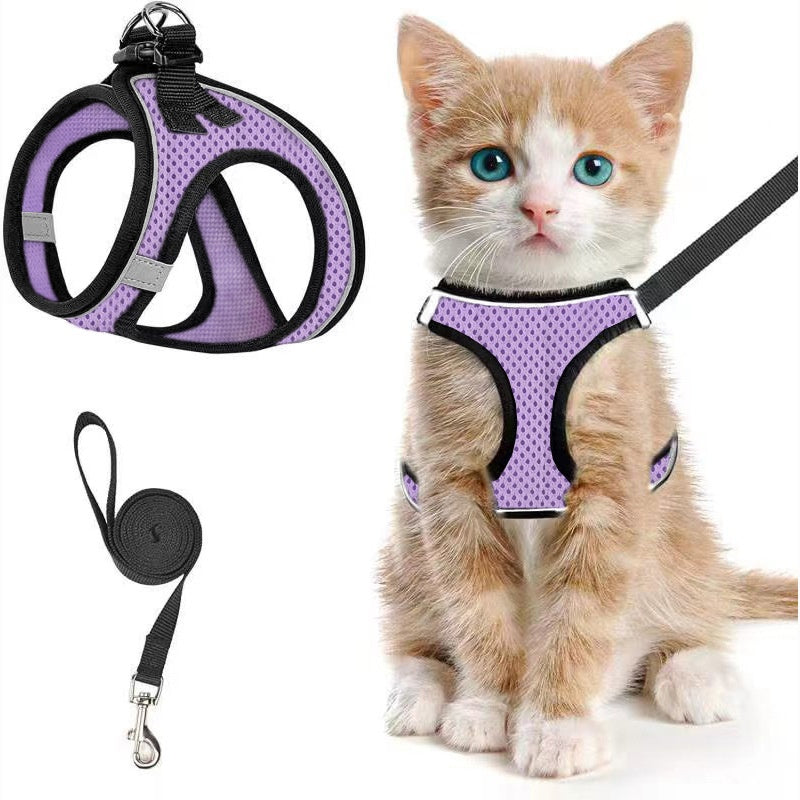 Breathable reflective mesh harness in lake blue on a cat