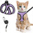 Breathable reflective mesh harness in lake blue on a cat