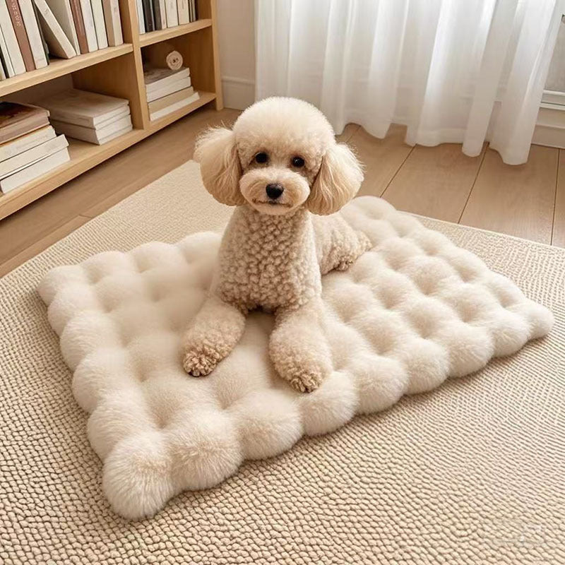 Matcha green crate pad for cats and small dogs