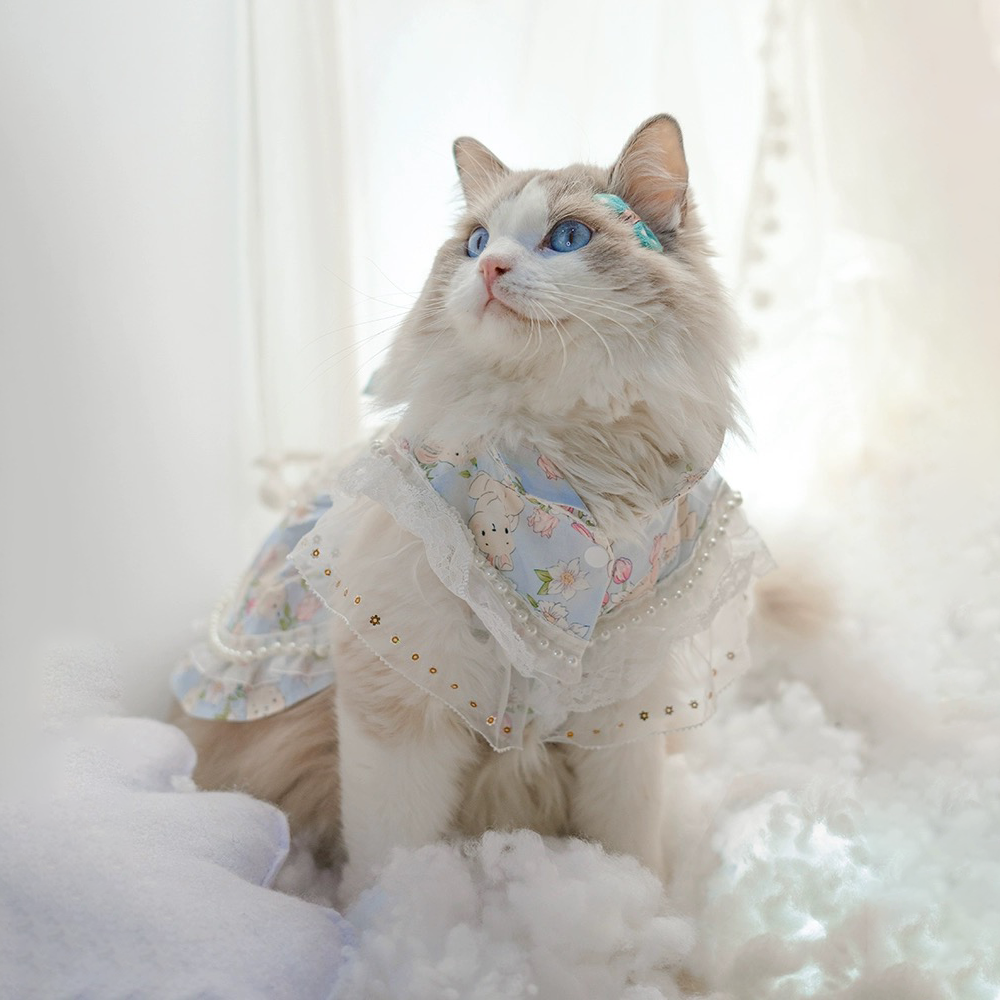 Sky blue Lolita dress for cats and small dogs in Sky Blue, side view